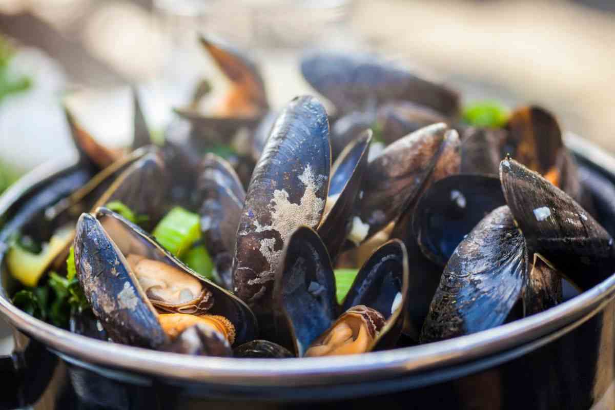 cozze in pentola