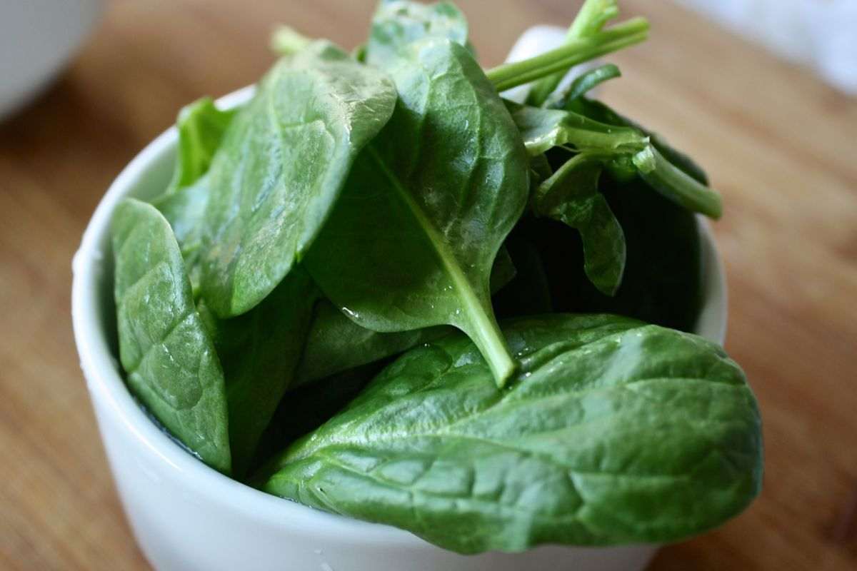 spinaci freschi