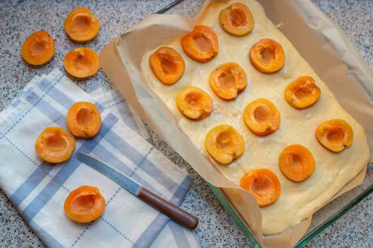 preparazione della torta alle albicocche