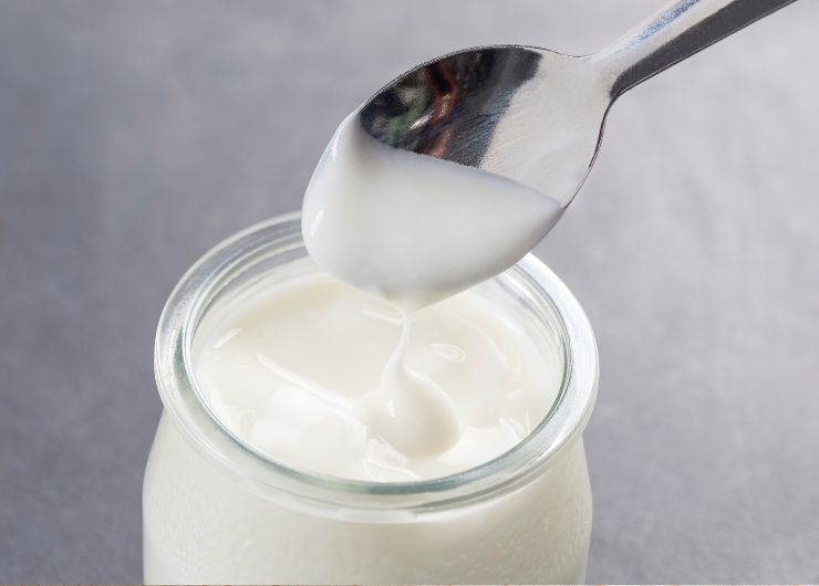 yogurt