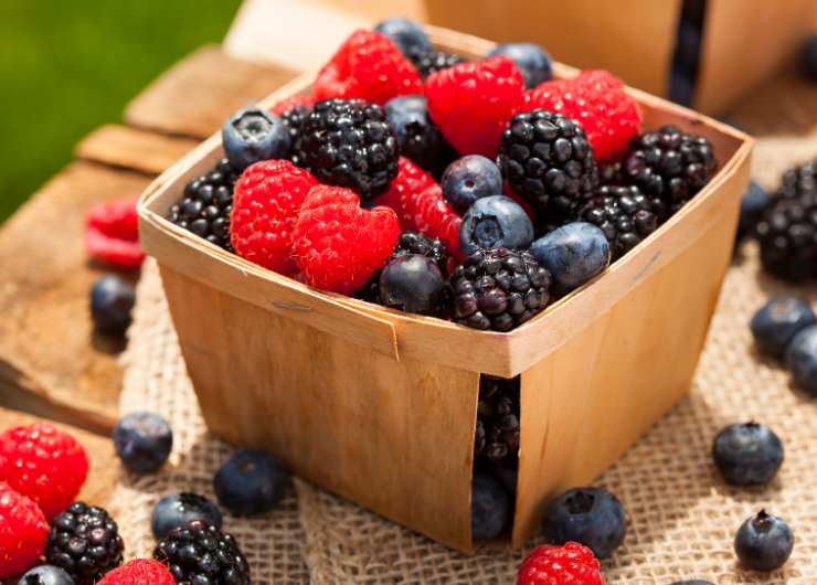 frutti di bosco