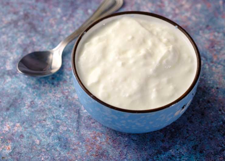 yogurt